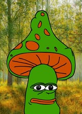 Fun Guy