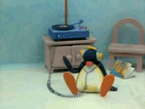 pingu