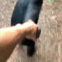 1717272054413019_thumb.jpg