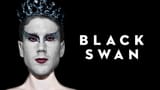 the_swan_of_belgrade