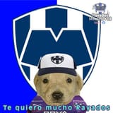 images (9)