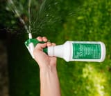 bug spray