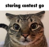 1721664600422685