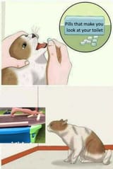 turbo gimi