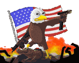 abe-bald-eagle