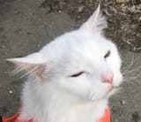 12165165