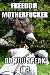 freedom