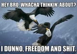 Freedom2