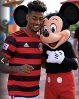 Flamengoloste