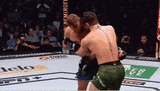 icegif-2370