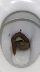 IMG_20250630_124323