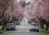 Vancouver, Dunbar neighbourhood Canada