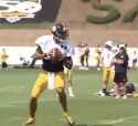 When-you-don-t-take-training-seriously-via-Steelers-5kSky7co-3U-Omar-Raja-ESPN-1_1_thumb.jpg