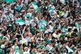 Palmeiras fans