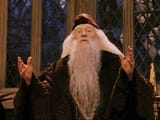 Dumbledore-meme-4