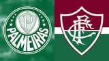 PALMEIRAS E FLUMINENSE