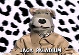 Jaca Paladium