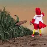 country berds make do