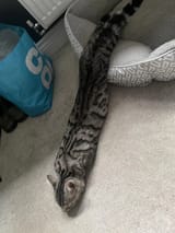 1728061523302