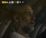 fraudiola