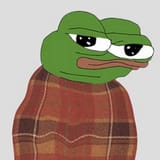 44556
