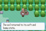 Softandloamy