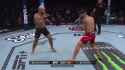 Volkanovski vs Topuria leg kick timed punch 25% speed_thumb.jpg