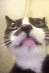 me rn