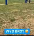 wyd_thumb.jpg