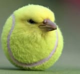 1724787798053713