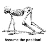 assume-the-position