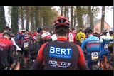 bert_containerdienst
