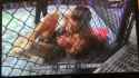 Conor McGregor’s illegal knee strike vs. Khabib at UFC 229_thumb.jpg