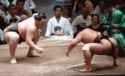 sumo-sumo-fight_thumb.jpg