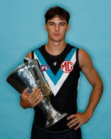 Port premiers hip