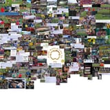 cwc25collage