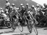 hinault