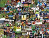 wc 2014 collage