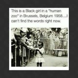 human-zoo-meme[1]
