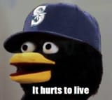 Pain