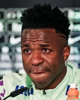 vini