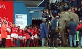 elephant at wimbledon v forest