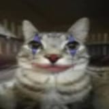 1752777366964018