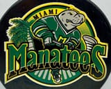Miami Manatees