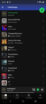 Screenshot_20250703-102601_Spotify