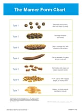 Marner_Form_chart_fin