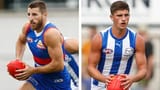 dogsroos