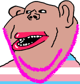 1643086203581