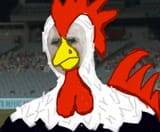 dce rooster
