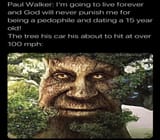 palwalker